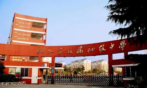 興化市實驗小學校園作文