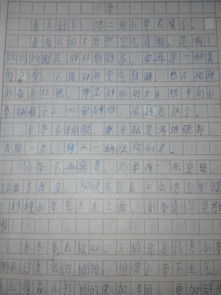 作文,校園