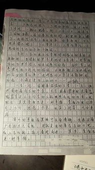 校園牽動(dòng)我的情思作文800字
