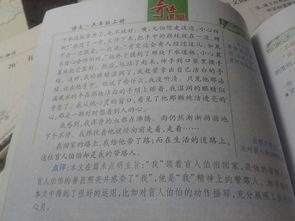 作文,生態(tài)園,校園
