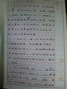 職高,作文,校園生活,題目