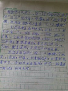 《我的校園》300字作文