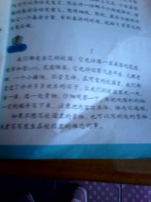 作文,景物,描寫,字左右
