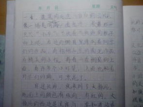 移步換景的校園寫(xiě)景作文600字
