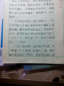 校園友情的滿(mǎn)分作文