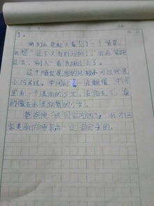 校園的一處風景作文400字四級