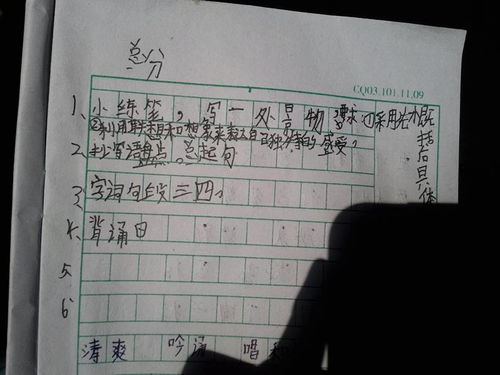 寫(xiě)景,作文,小學(xué)生,字左右
