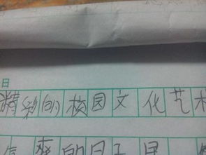 我眼中的校園文化藝術(shù)節(jié)作文