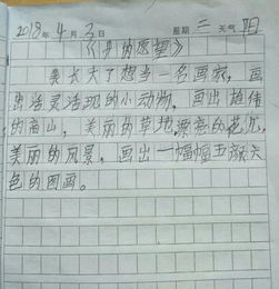 作文,校園