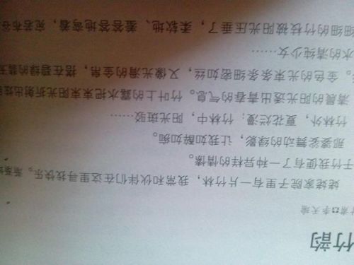 作文,描寫(xiě),時(shí)光,校園