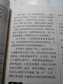 仿寫(xiě)春校園的一角作文200字