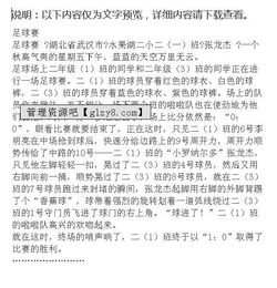 校園足球比賽報道的作文500字