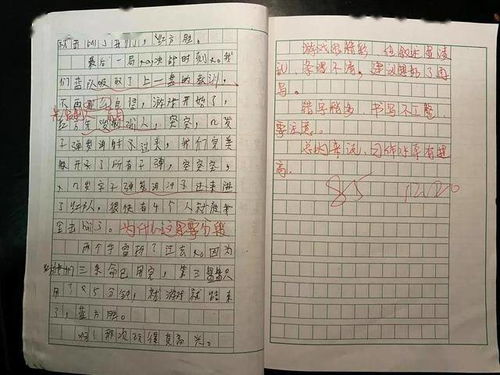 作文,評語,美麗,校園