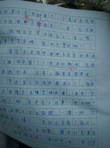春雨,作文,鳥(niǎo)兒,校園