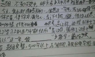 我們的校園作文初一600字