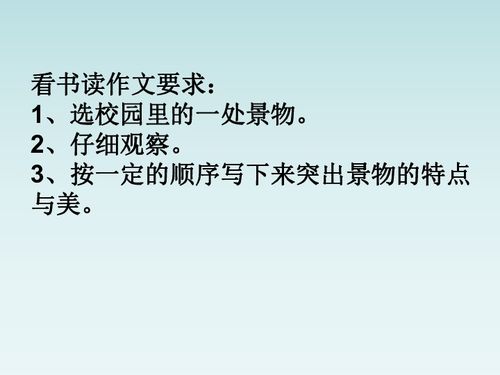 作文,四級,校園,百字