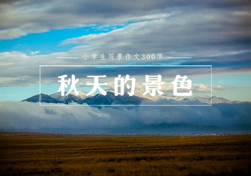 我的景色校園作文300字三級