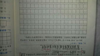 楊樹,作文,校園