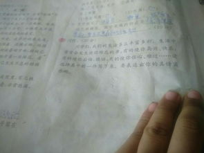 描寫(xiě)校園的變化的作文三級的作文怎么寫(xiě)