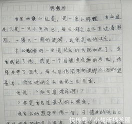小學作文秋天的校園,小學三年級作文校園的一角,小學三年級作文我的校園