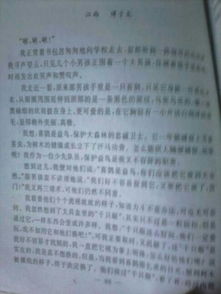 校園游戲作文450字六級