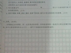 6級作文校園里的甜