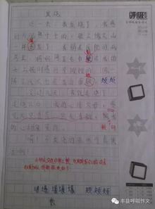 作文,達(dá)人,校園