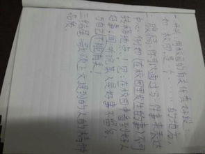 校園見聞一則作文800