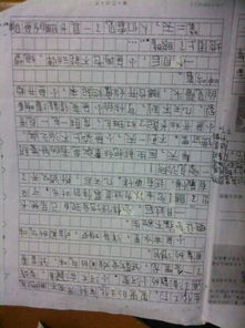 作文,風(fēng)景線(xiàn),校園