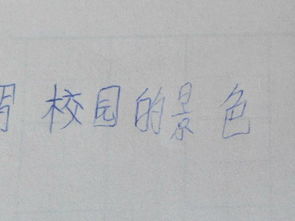 校園風(fēng)景7o字作文