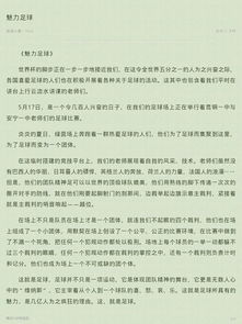體現校園足球精神作文400字