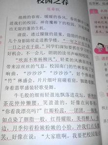 校園安全之我見(jiàn)作文400字作文怎么寫(xiě)