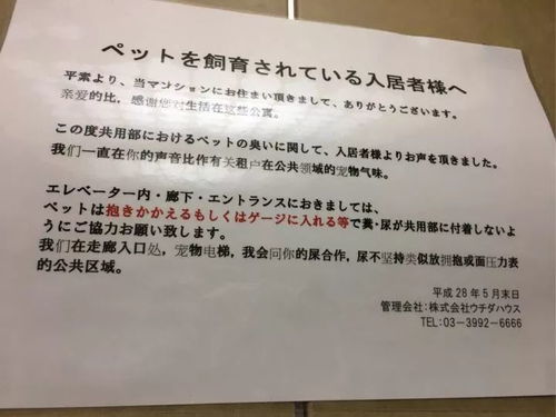 校園里愛(ài)情看法英語(yǔ)作文