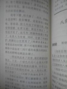 寫(xiě)校園快樂(lè )游戲的作文100字
