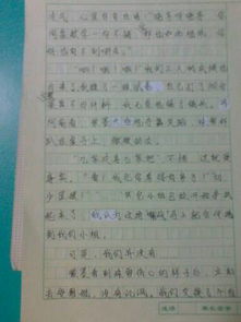 作文,校園生活,開(kāi)頭,喜愛(ài)