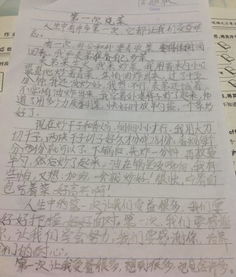 記校園藝術(shù)節(jié)作文450字