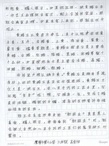 作文,校園,寫二小