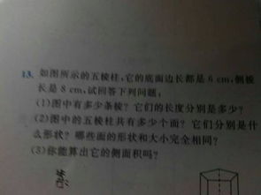 校園冬天500字作文大全