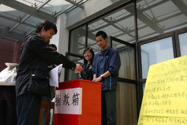 作文,捐款,校園,活動(dòng)
