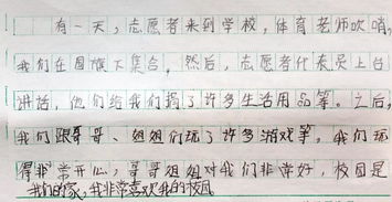 那是一段美好的校園時(shí)光作文