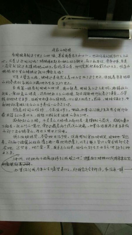 夏天的校園作文五百字