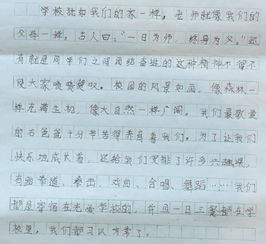 關(guān)于校園情感的作文,以校園情感為話題的作文,校園表達情感的作文