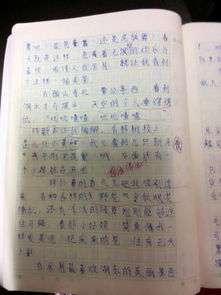 校園植物的認識作文200字