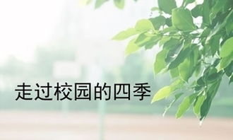 作文校園的四季600字
