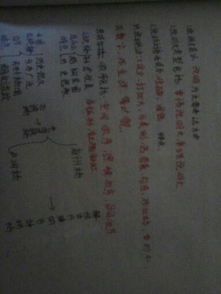 空間順序校園作文