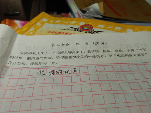 熱鬧的校園作文三年級(jí),秋天的校園300字作文三年級(jí),校園真美作文三年級(jí)上冊(cè)作文