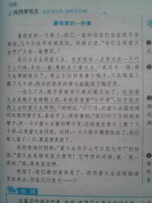 作文,讀后感,校園