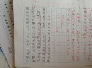 這是,平安,作文,校園