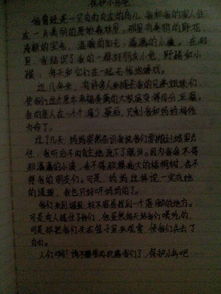 可愛的校園作文400字寫景,我們可愛的校園作文400字,我可愛的校園作文400字4年級