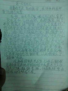 校園里發(fā)生的事的作文600字作文怎么寫(xiě)